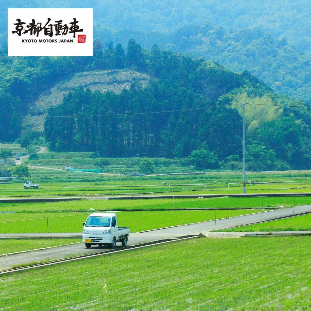 静かな田舎道に、ぽつんと灯るあかり