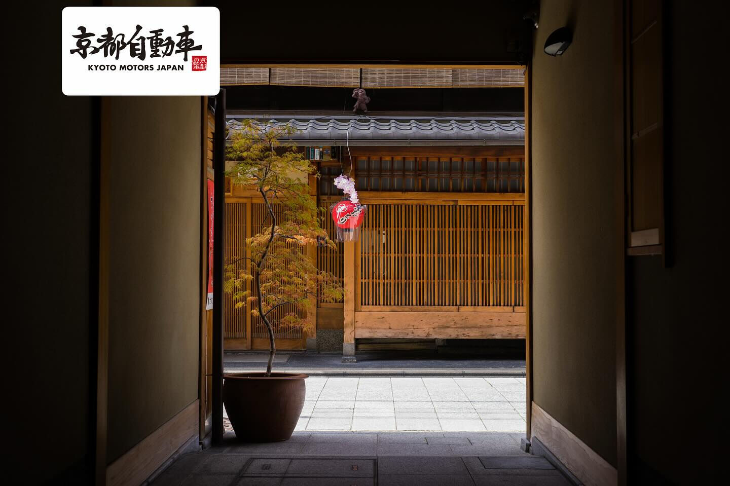 🌿【京都の路地を抜けた先に、静かな出会いがある】🌿