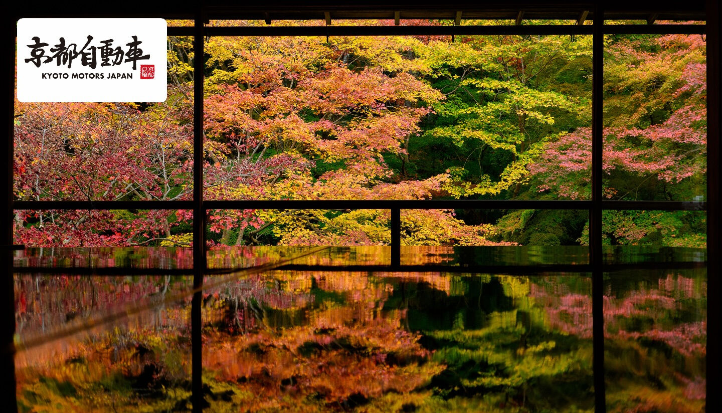 🍁🌸⛩ 三都物語 × 京都自動車 🚗✨