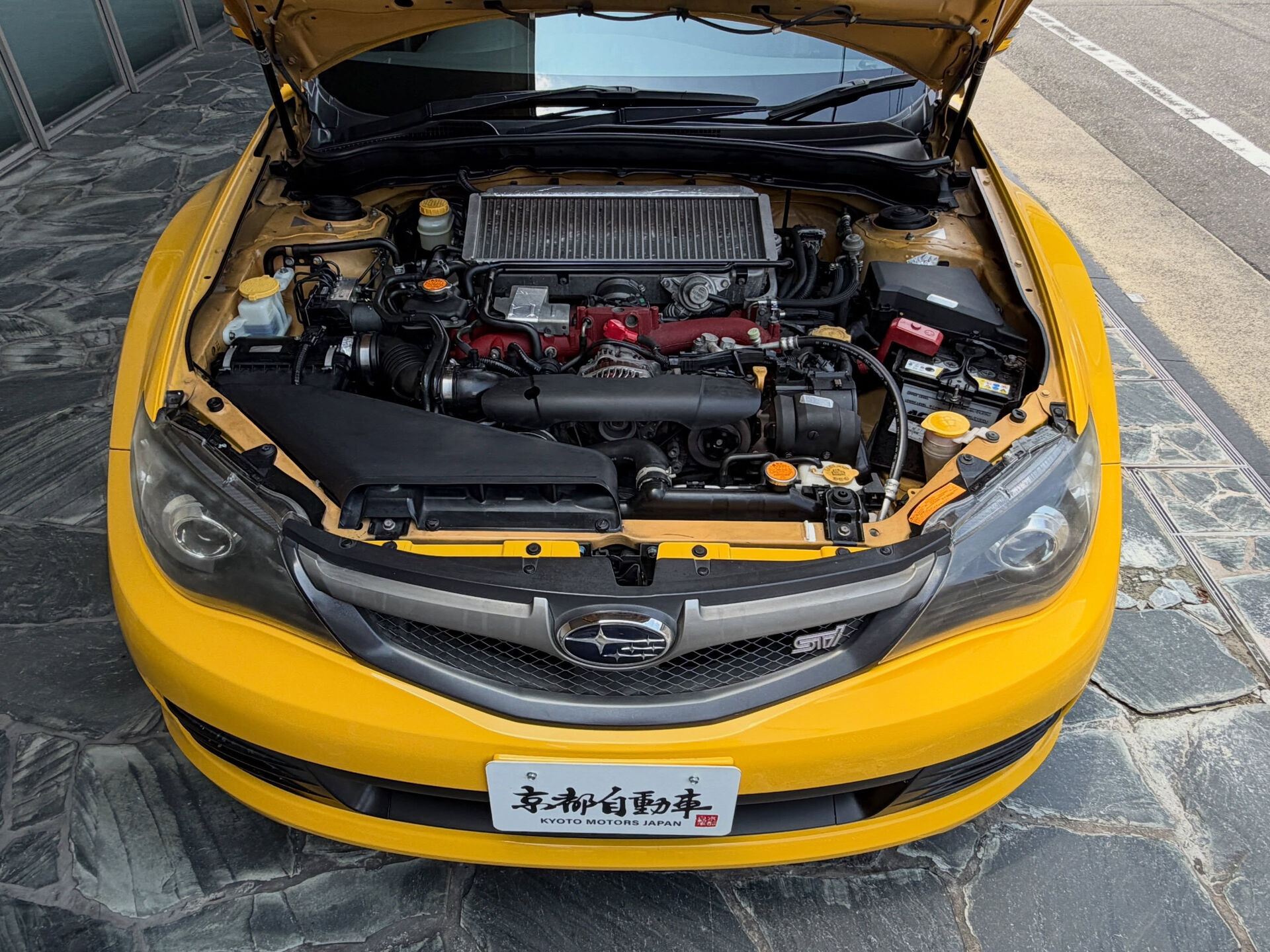🔥希少な受注生産カラー🔥